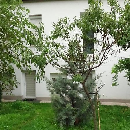 Villa Esztergom Exterior foto